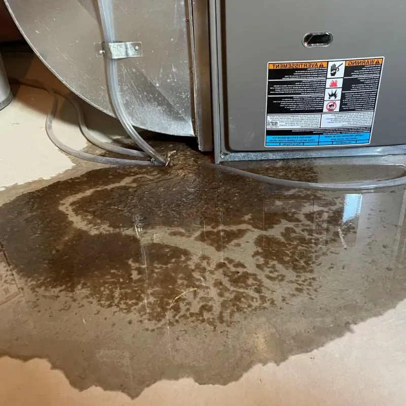 Pipe Burst and Leak Restoration in Park Slope, NY